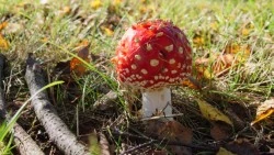 Natur und Landschaft